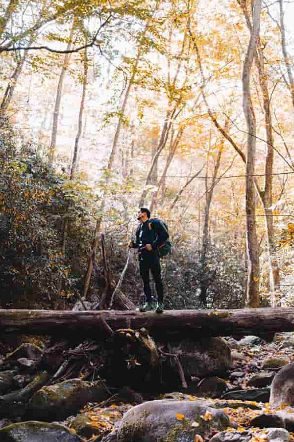 A man hiking in the forest