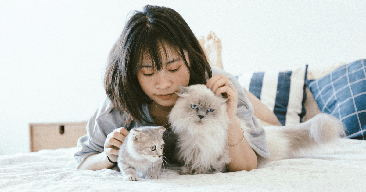 Pet-friendly rehab: Woman cuddling two cats on a bed, showcasing the benefits of animal therapy in recovery programs.