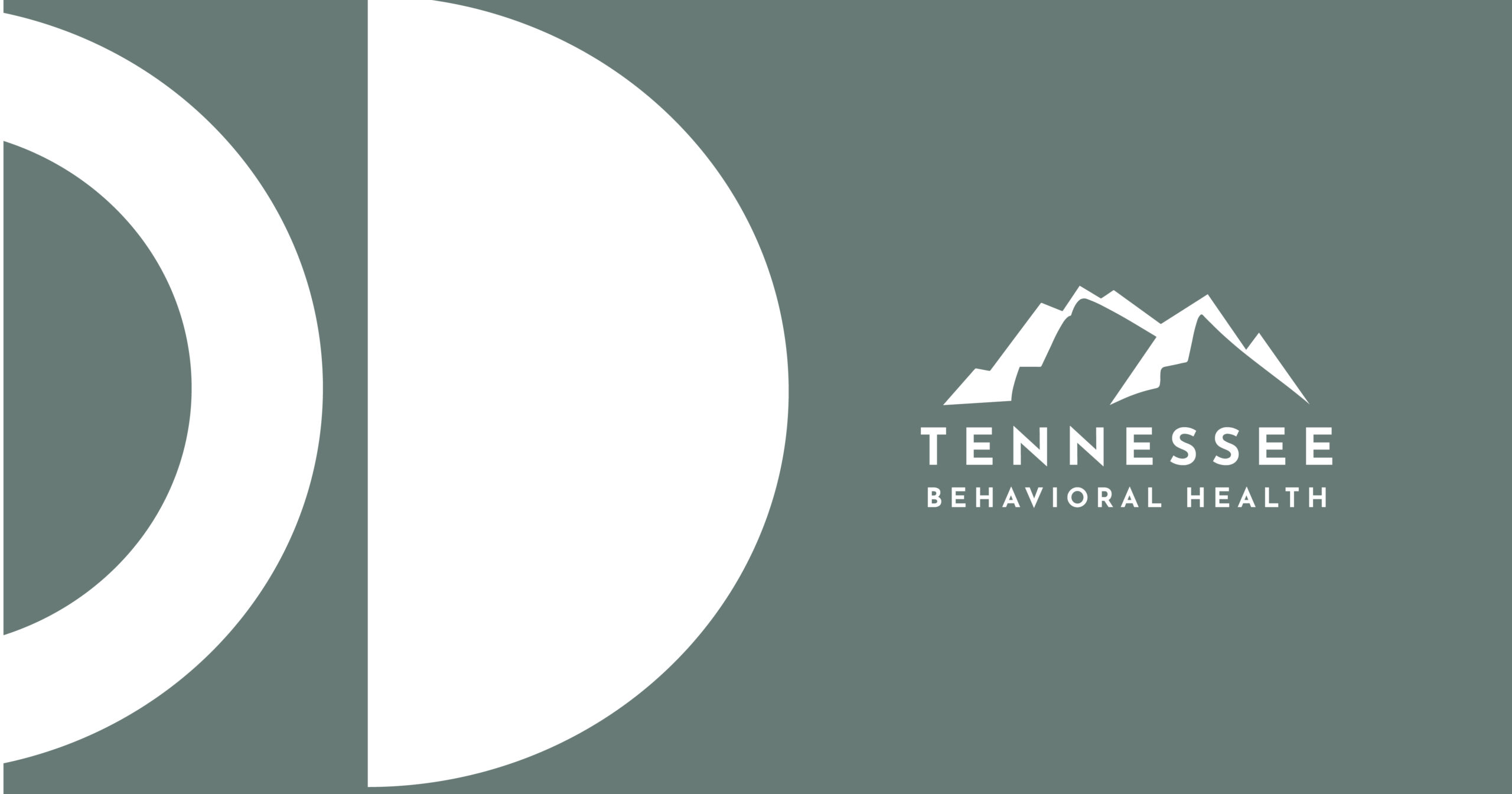 Teal Tennessee Behavioral Health logo featuring a large white curved shape and a mountain icon on the right.