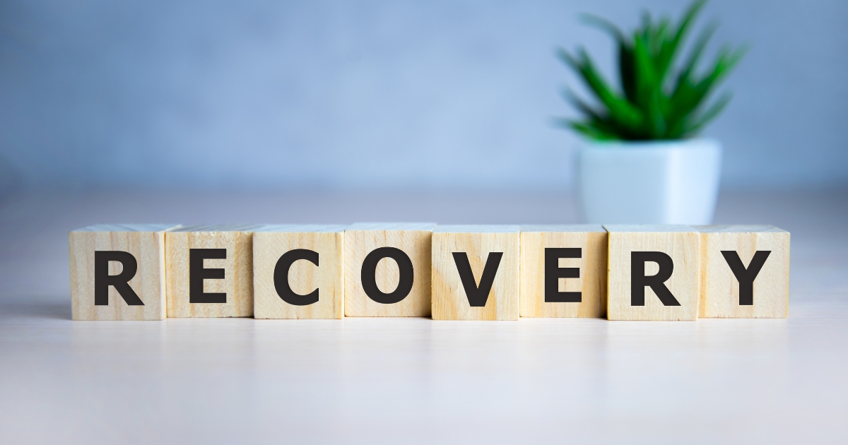dynamic recovery — supporting image 1